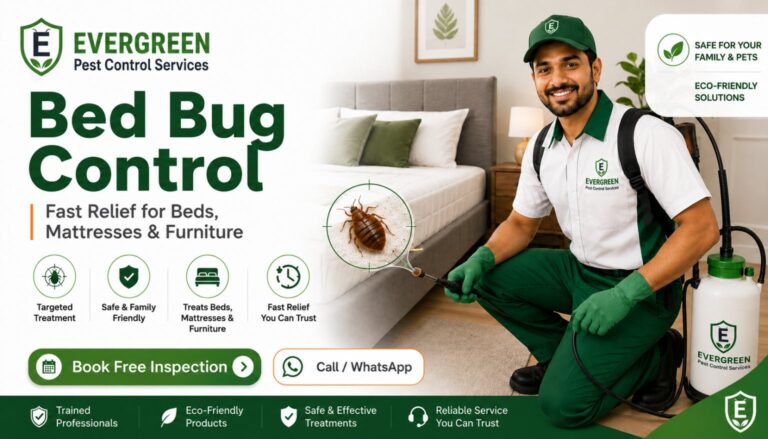 Home Bed bug control service in Kalyan