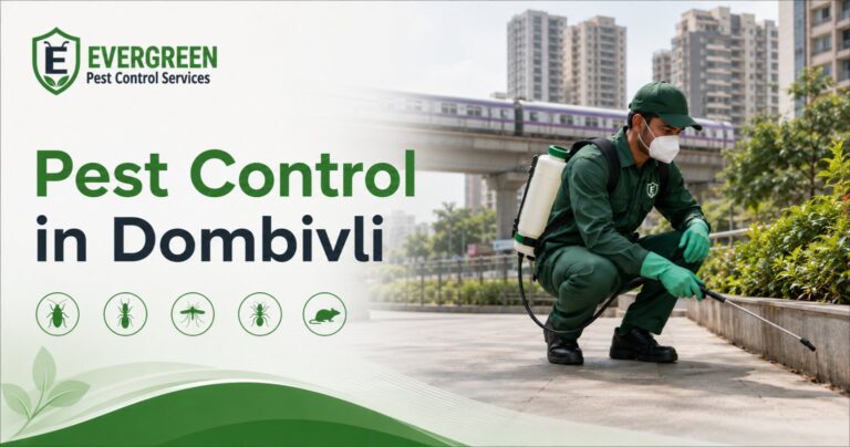 Home Pest control in Dombivli for flats and societies