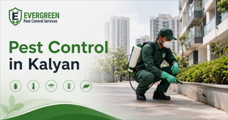 Home Pest control in Kalyan for homes and housing societies