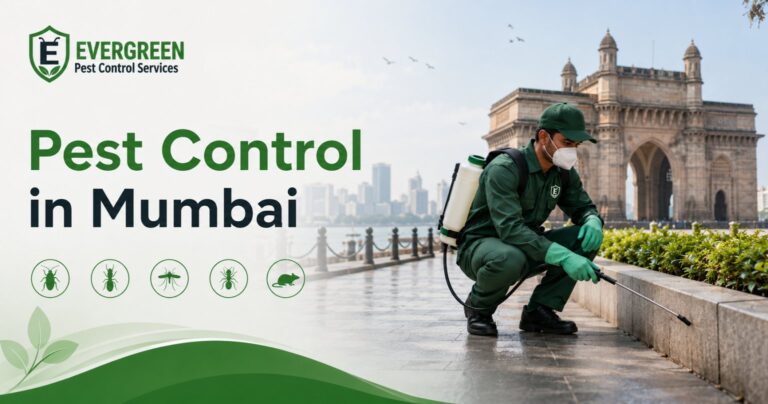 Home Pest control in Mumbai for homes, offices and restaurants