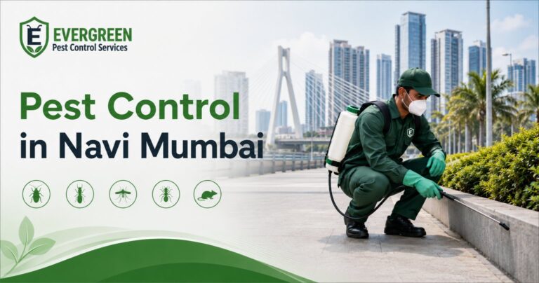 Home Pest control in Navi Mumbai for CIDCO township societies