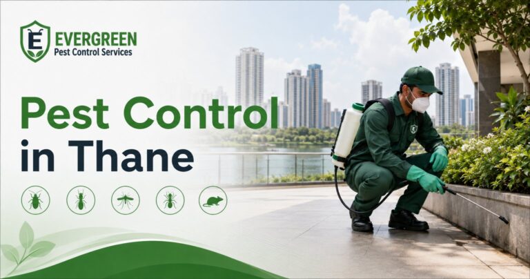 Home Pest control in Thane for residential and commercial properties